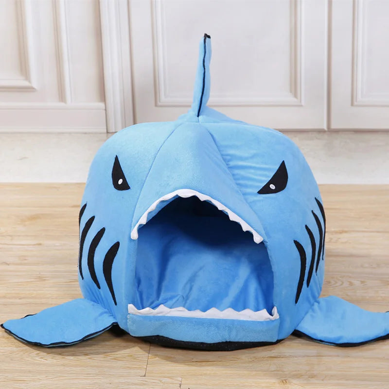 Shark Bed