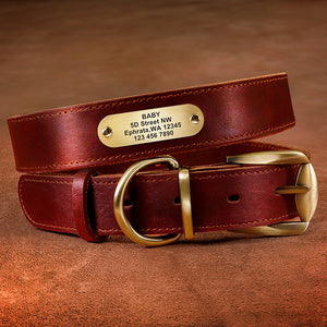 Real Leather Dog Collar