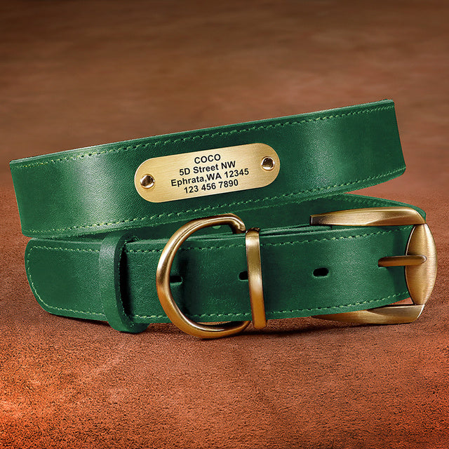 Harnesses, Collars and Leashes