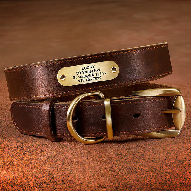 Real leather dog collar sales