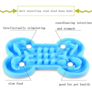 Slow Feeder Bowl