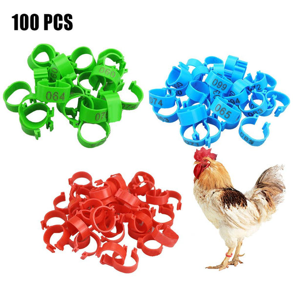 Poultry Numbered Leg Bands