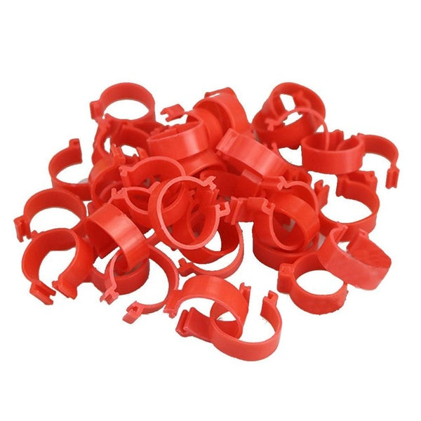 Red Chicken Leg Bands