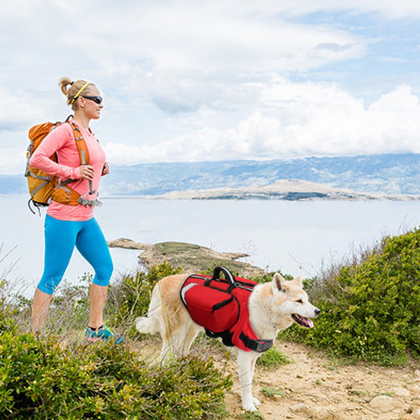 Back Pack Pet Harness