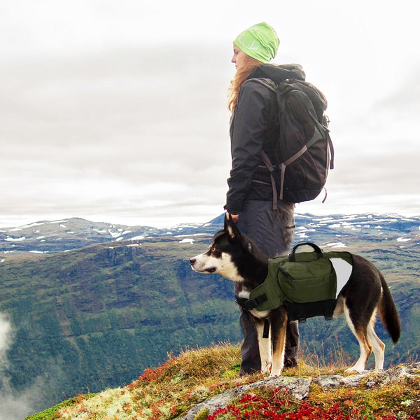 Back Pack Pet Harness