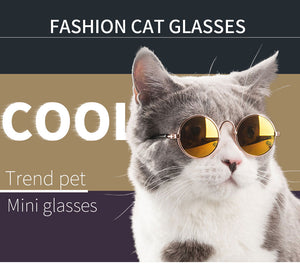 Cool Cat Shades