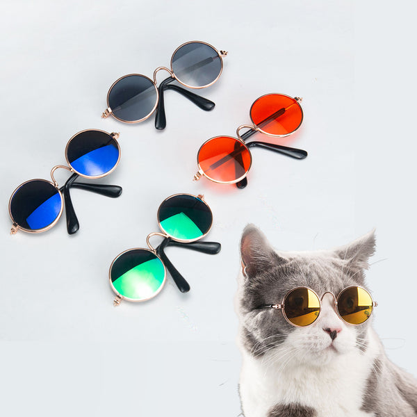 Cool Cat Shades