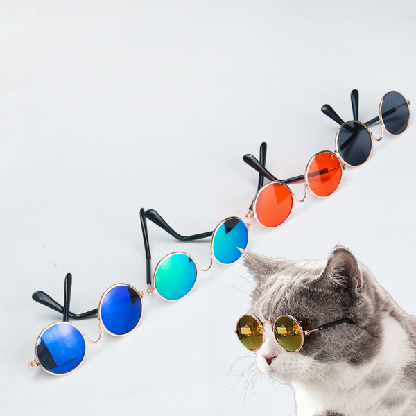 Cool Cat Shades